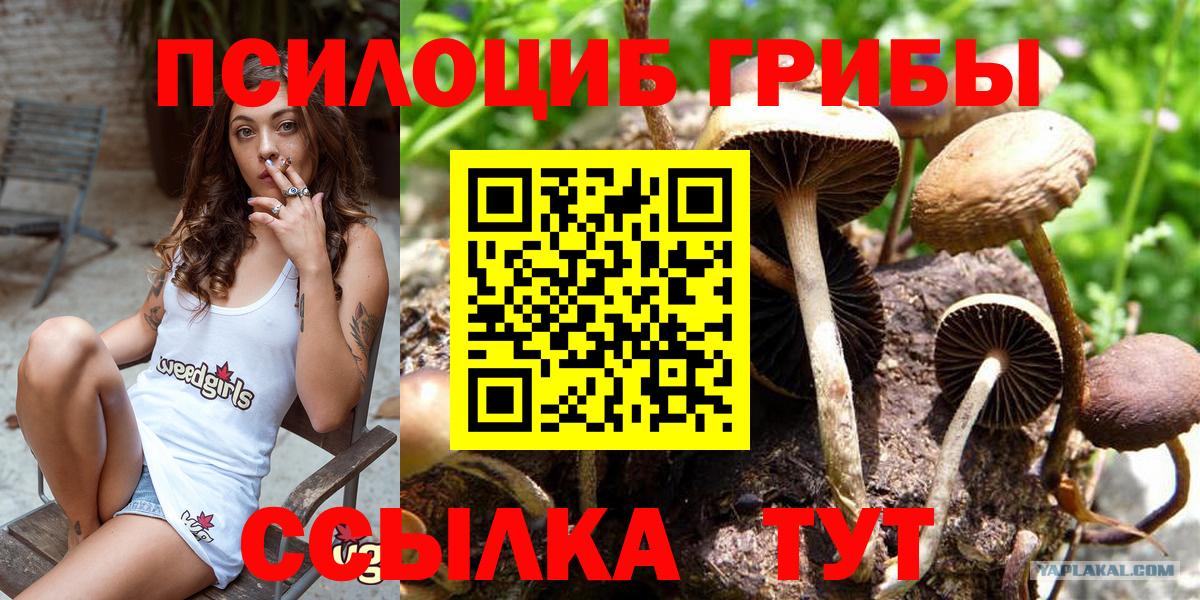 Псилоцибиновые грибы ЛСД Ессентуки
