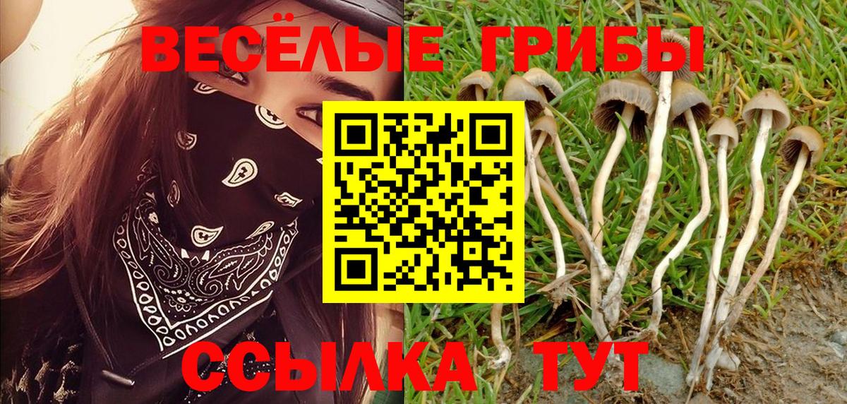 Ессентуки  Галлюциногенные грибы мухоморы  Псилоцибиновые грибы ЛСД  Вход с VPN 