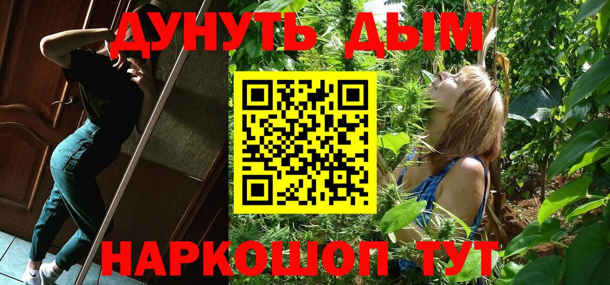 Конопля планчик Ессентуки